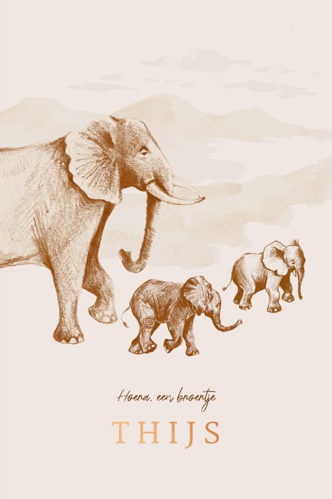 Enkel geboortekaartje met getekende olifanten en koperfolie