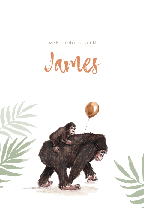 Geboortekaart met aapjes en een oranje ballon