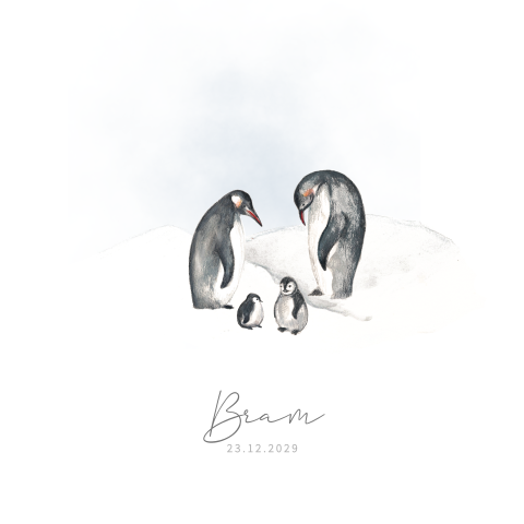 Winter geboortekaartje voor een tweede kindje met getekende pinguins