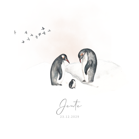 Winter geboortekaartje met illustraties van bergen en pinguins