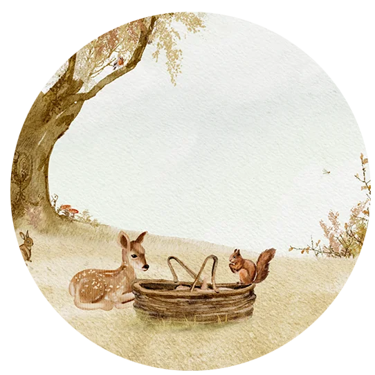 blog getekende herfst geboortekaartjes